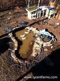 How To Build A Diy Backyard Pond With