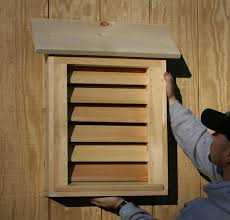 Building A Bat House Virginia