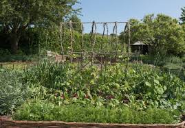 9 Unique Vegetable Garden Layout Ideas