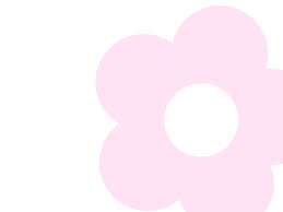 Large Flower Icon Background Pink