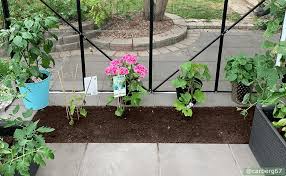 Spring Gardening Tips Decorating Ideas