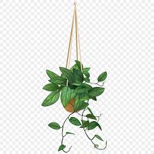 Hanging Plants Png Transpa Images
