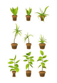 Plant Stages Vector Art Icons And