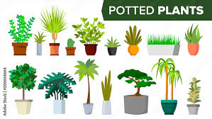 Potted Plants Set Vector Indoor Home