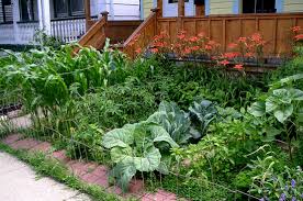 Creating Front Yard Gardens Food Renegade