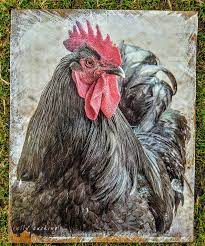 Black Rooster Wall Decor Kelly