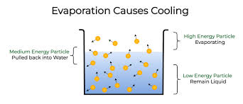 How Does Evaporation Cause Cooling