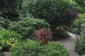 Design A Garden With Shrubs Fine