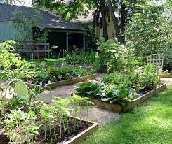A Beginner S Guide To Raised Bed Gardening