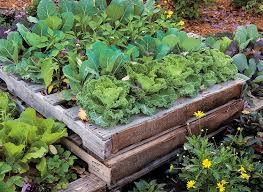 Diy Pallet Raised Garden Bed Garden Gate