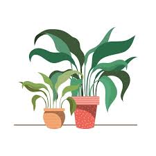 100 000 House Plant Vector Images