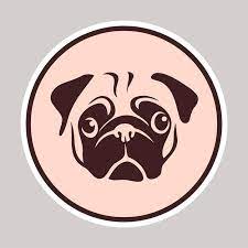 Premium Vector Funny Pug On The
