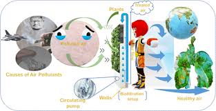 Air Pollutants Removal Using