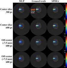 proton therapy with in beam tof pet