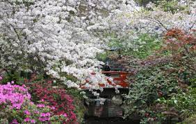 Japanese Garden At Descanso Gardens