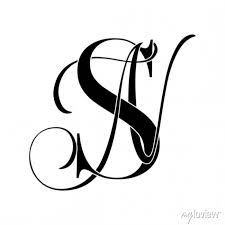 Sn Ns Monogram Logo Calligraphic