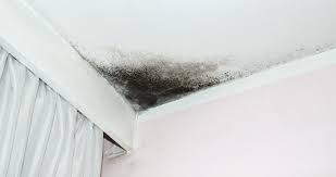Getting Rid Of Mold On Your Ceiling In