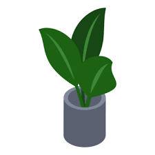 Office Plant Pot Png Vector Psd And