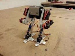 A Bipedal Walking Robot