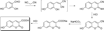 Synthesis Of 7 Hydroxy 3