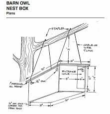 How To Build A Barn Owl Nest Modern