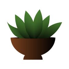Plant Packaging Png Vector Psd And