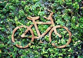 Eco Concept Wood Texture Bicycle Icon