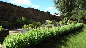The Garden At The Stone Wall Of The Old