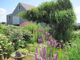 How To Start A Flower Garden Design