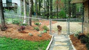 What Is The Best Fence For Dogs