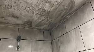 Black Mould In Your Home Can Cause