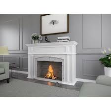 Barton 36 In X 26 In Single Panel Freestanding Tempered Glass Fireplace Screen