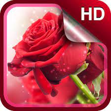 Red Roses Live Wallpaper Hd Apk