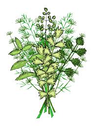 Plan To Plant An Herb Garden Green