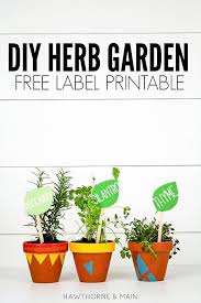 Diy Herb Garden Herb Garden Plant Labels