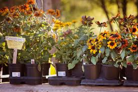 Nursery And Garden In Park City