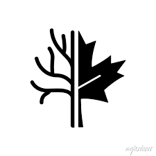Maple Tree Black Glyph Icon Official