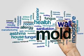 Mold Allergy Symptoms And Signs