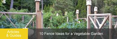 10 Fence Ideas For A Vegetable Garden