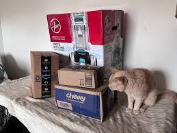 8 Best Cat Urine Removers Tested And
