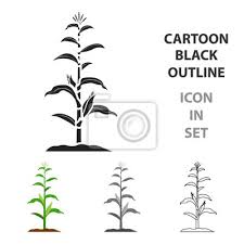 Corn Icon Cartoon Single Plant Icon