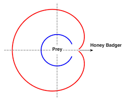 honey badger algorithm