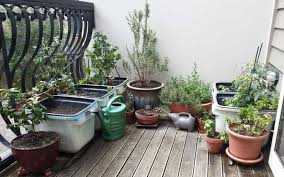 Container Garden