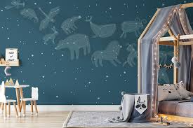 Children S Constellation Fun Wall Mural