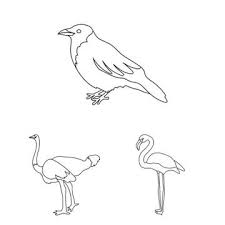 Birds Home Ilrations Stock Birds