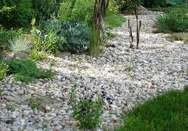 Use Rocks To Make Your Garden Design
