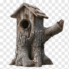 Birdhouse Diy Birdhouse Ideas Png