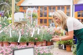 The Best Garden Centres In Derbyshire