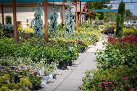 Garden Center Tree Top Nursery