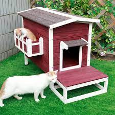 Outdoor Feral Cat House